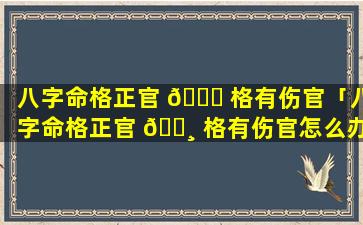 八字命格正官 🐈 格有伤官「八字命格正官 🌸 格有伤官怎么办」